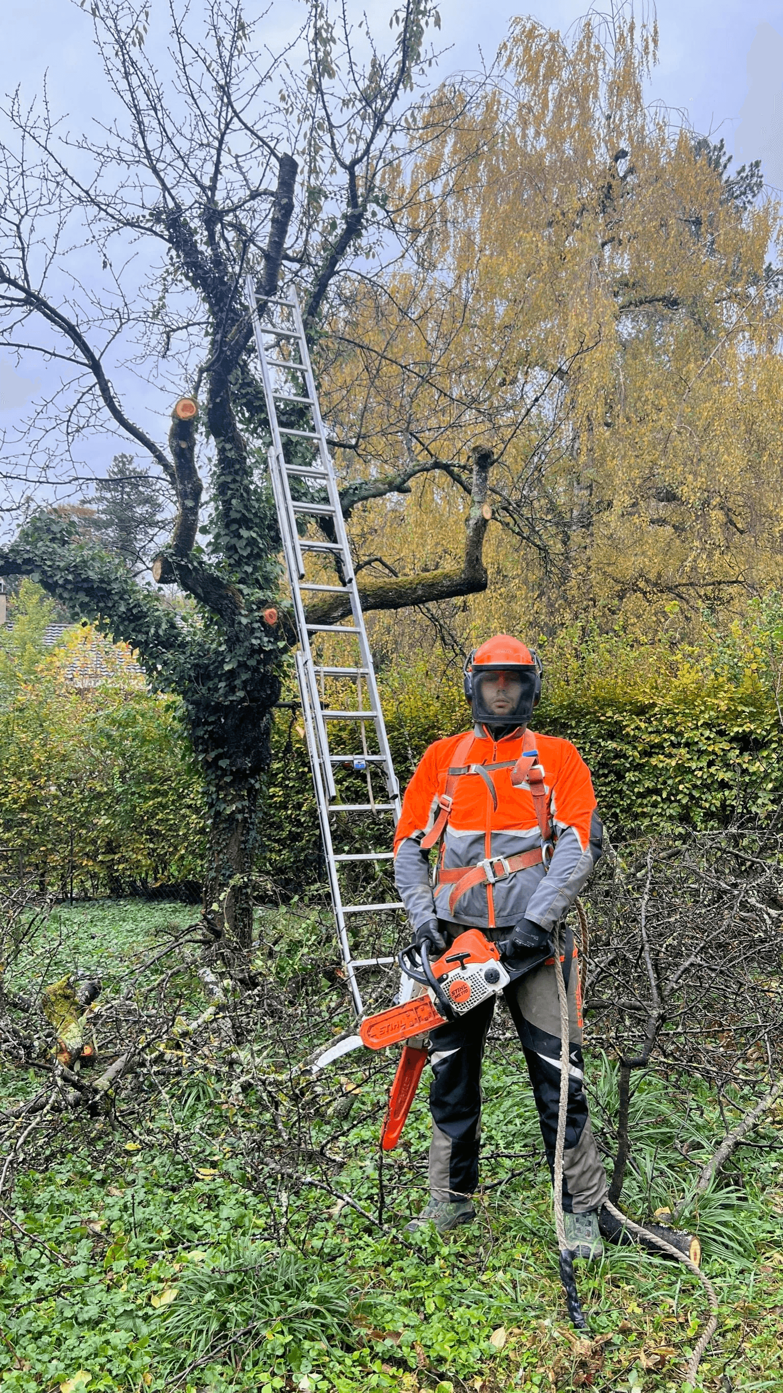 Jannis Kaufmann am Baumschneiden