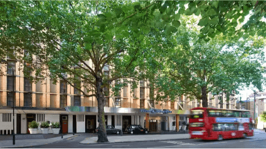 Image of a trees beside a road