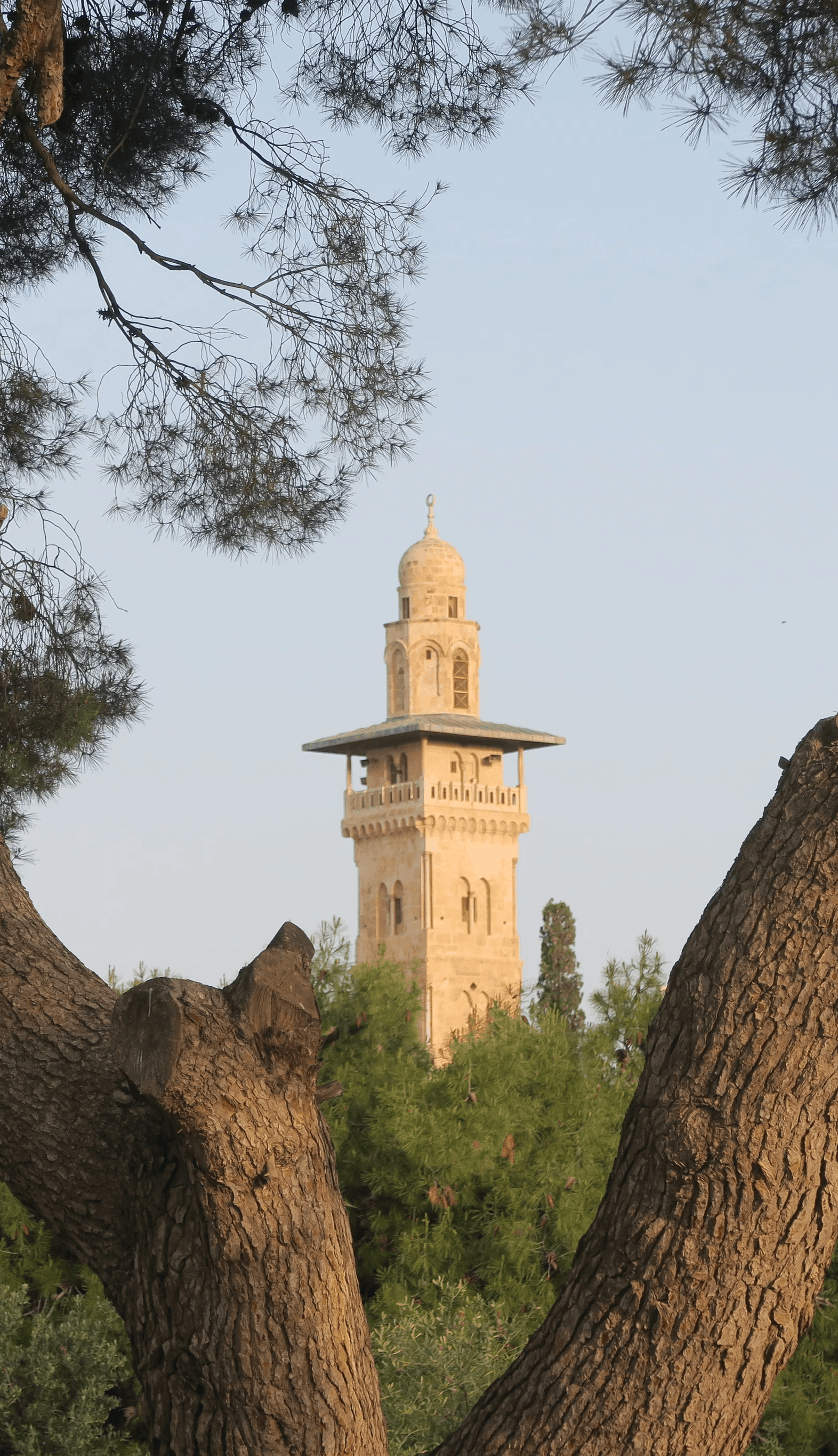 Gavanime Minaresi