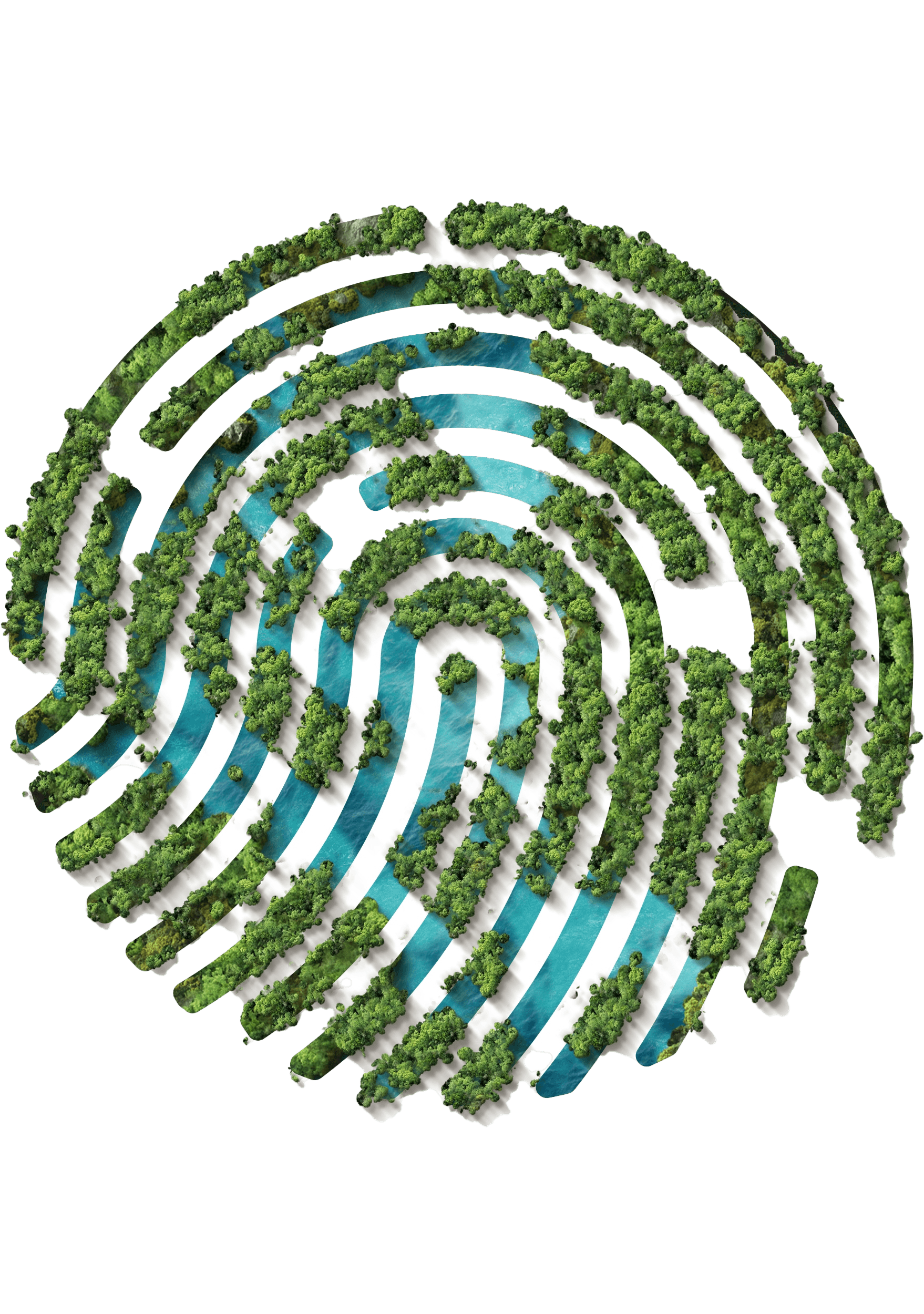 Two hands in an elegant gesture, one above the other, against a dark background