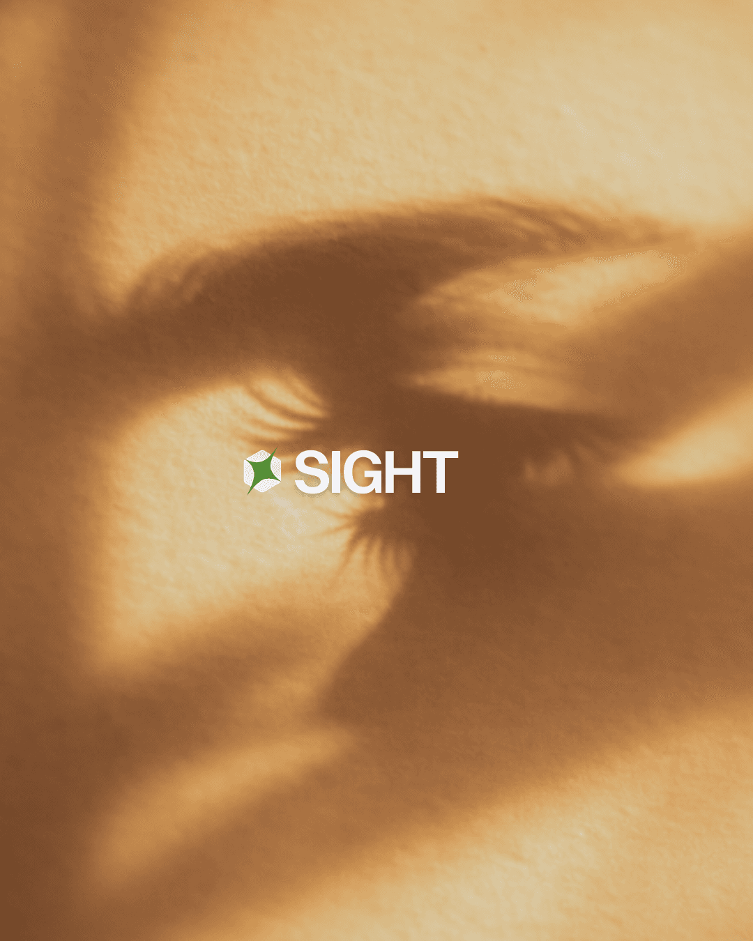 Foodpairing with chef Aljmo and Dom Pérignon P2