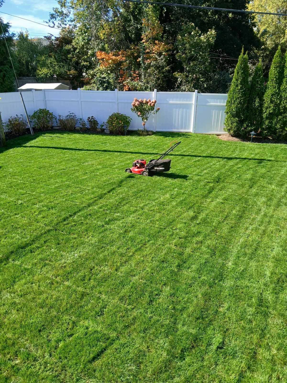 Freshly mown grass in Byron Bay