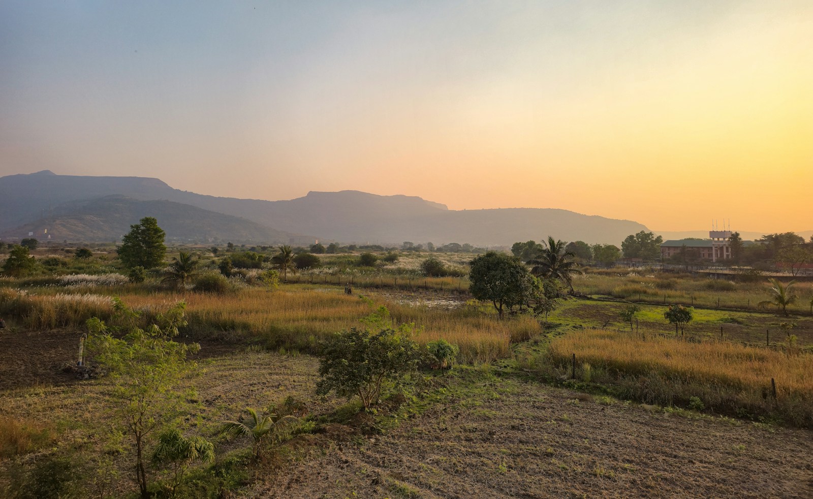 Farmland and hills at golden hour