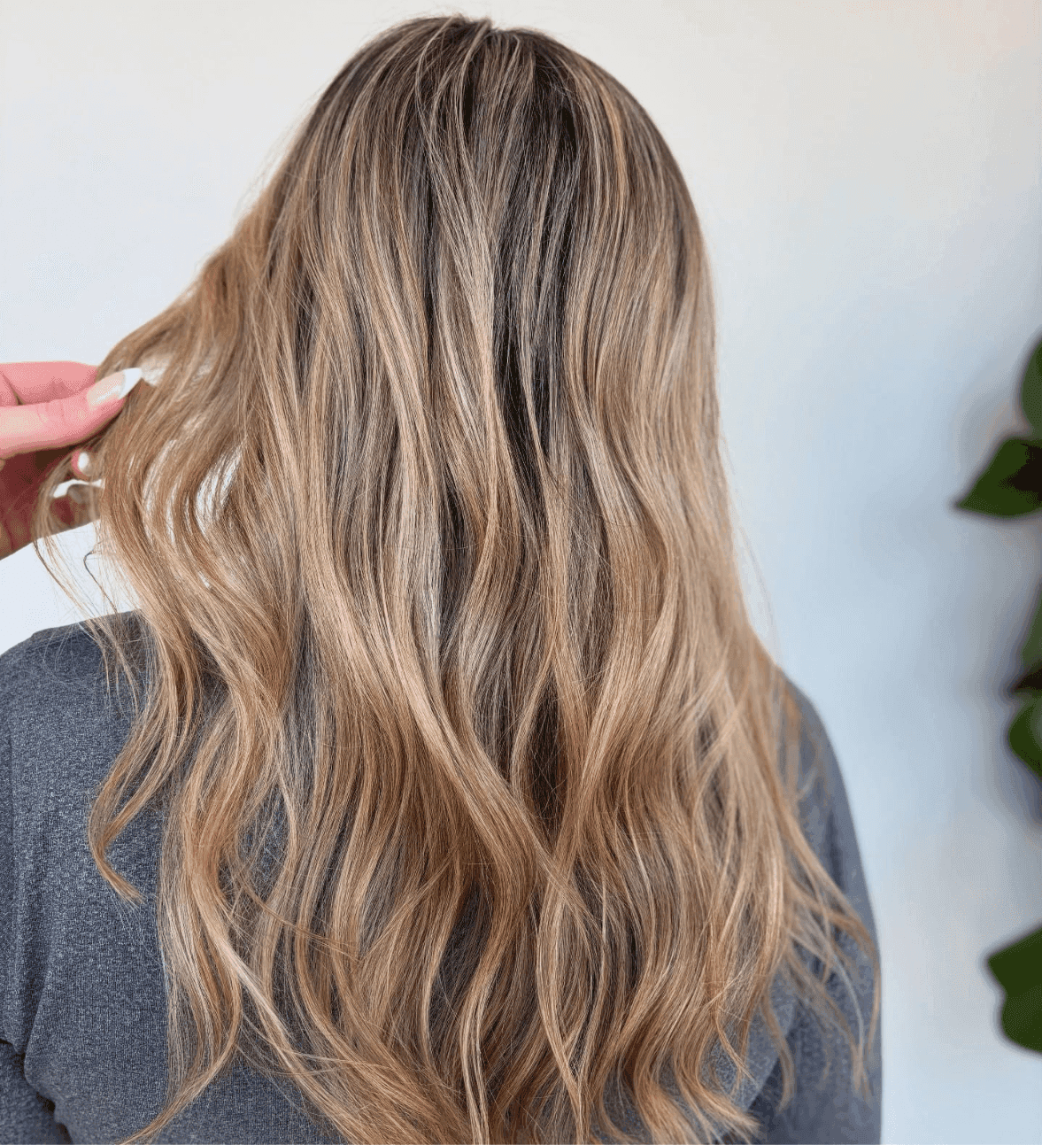 Forma Beauty Salon Novi Michigan