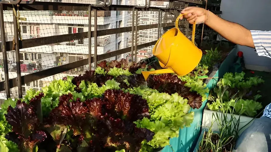 Watering Wisely and Conserving Resources.webp