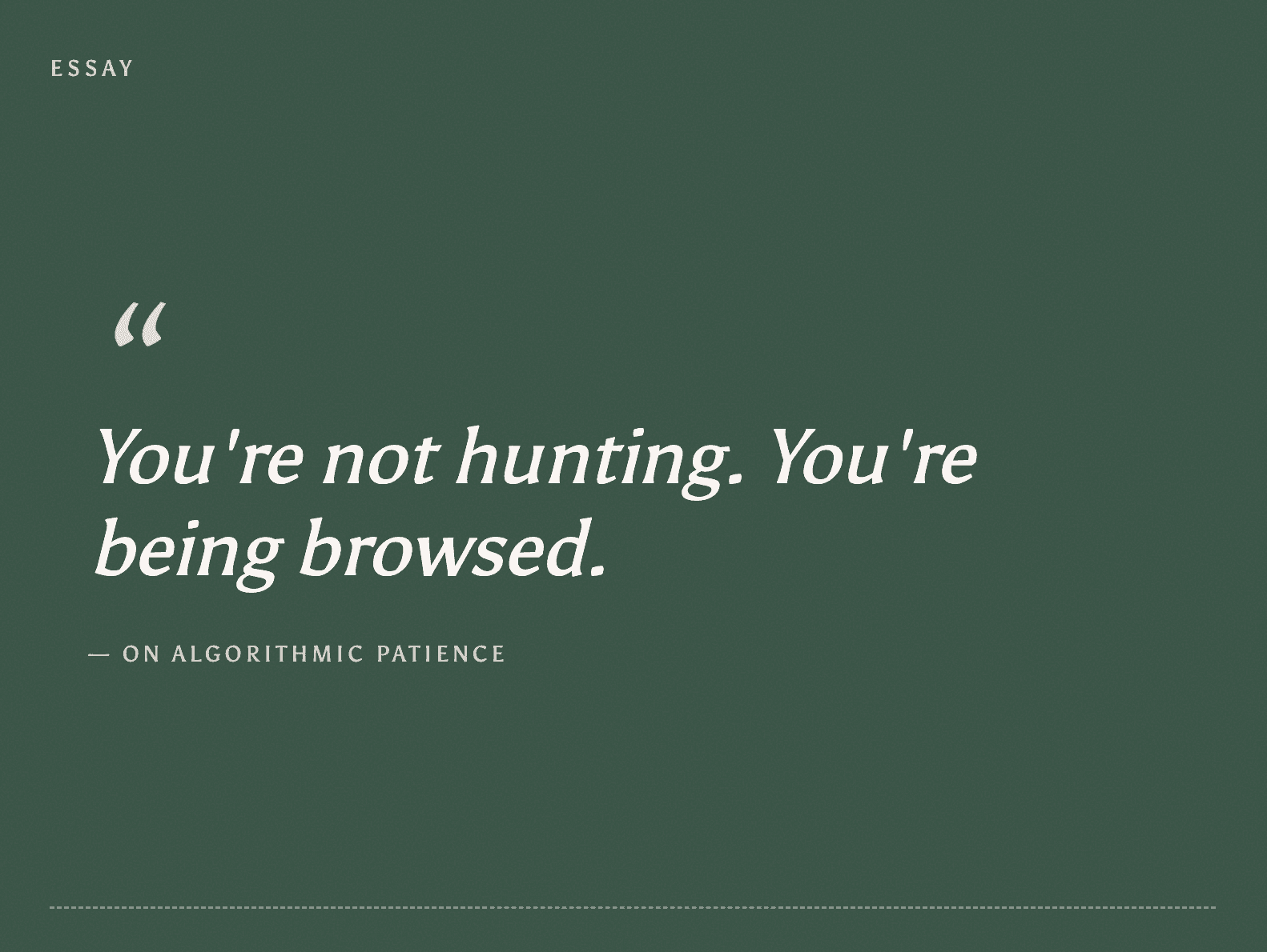 guy on hinge looking at  a profile