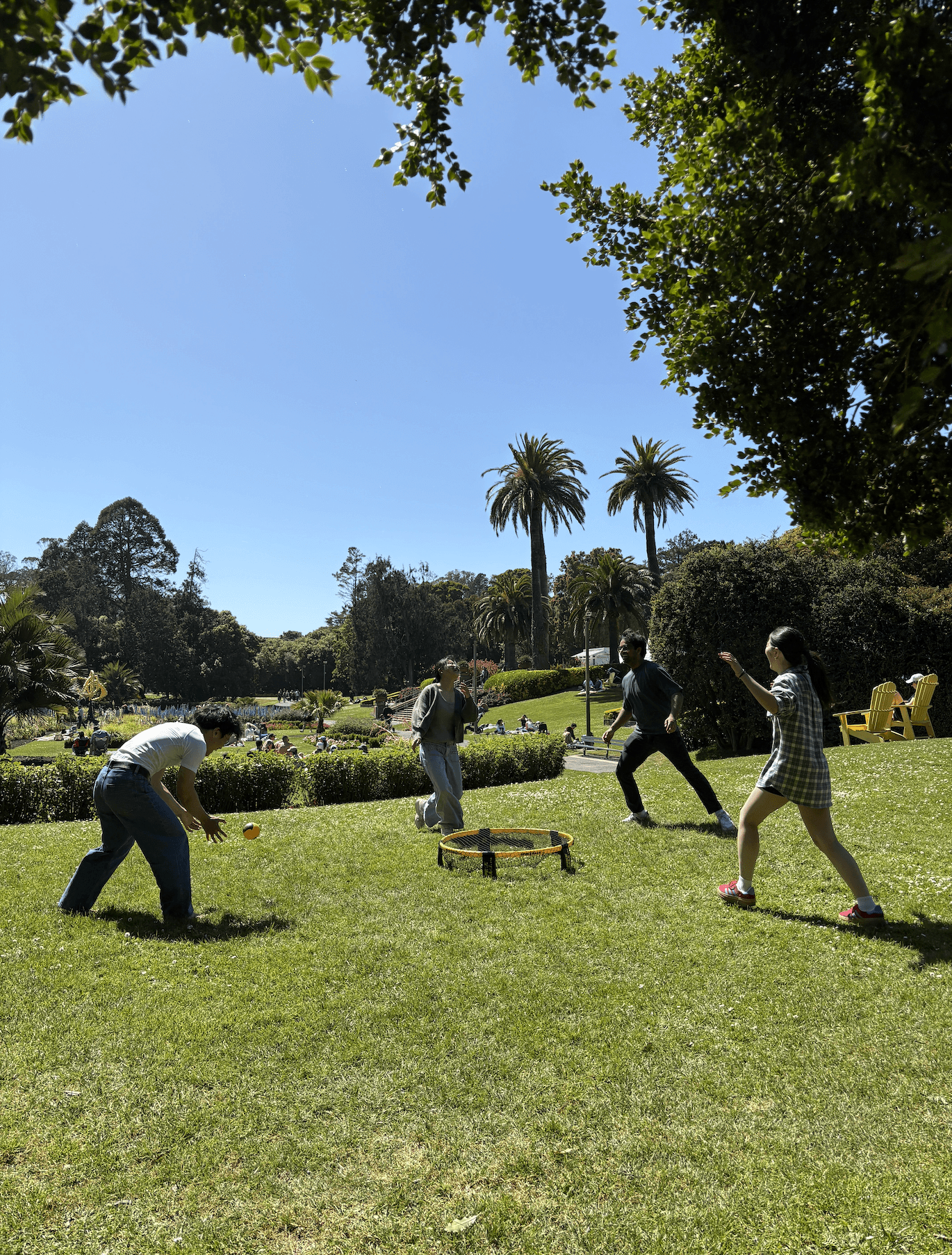 SPIKEBALL WITH FRIENDS