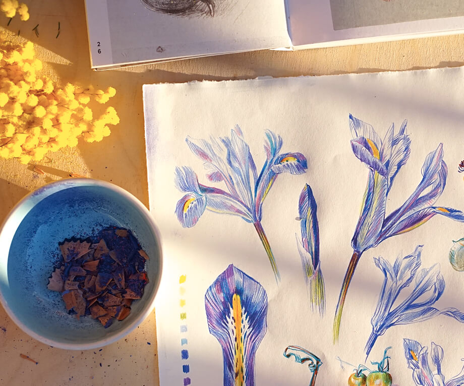 Foto of a stilllife with a botanical drawing and flowers