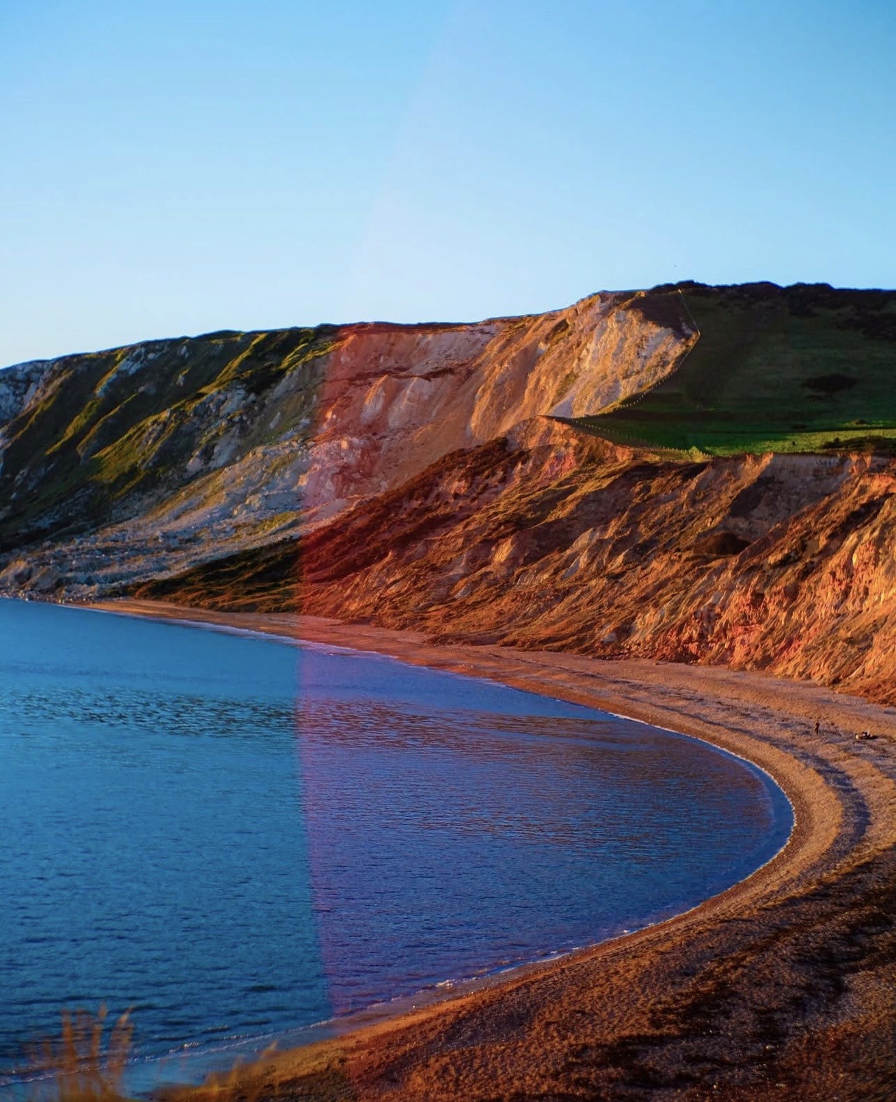 a woman with flowers