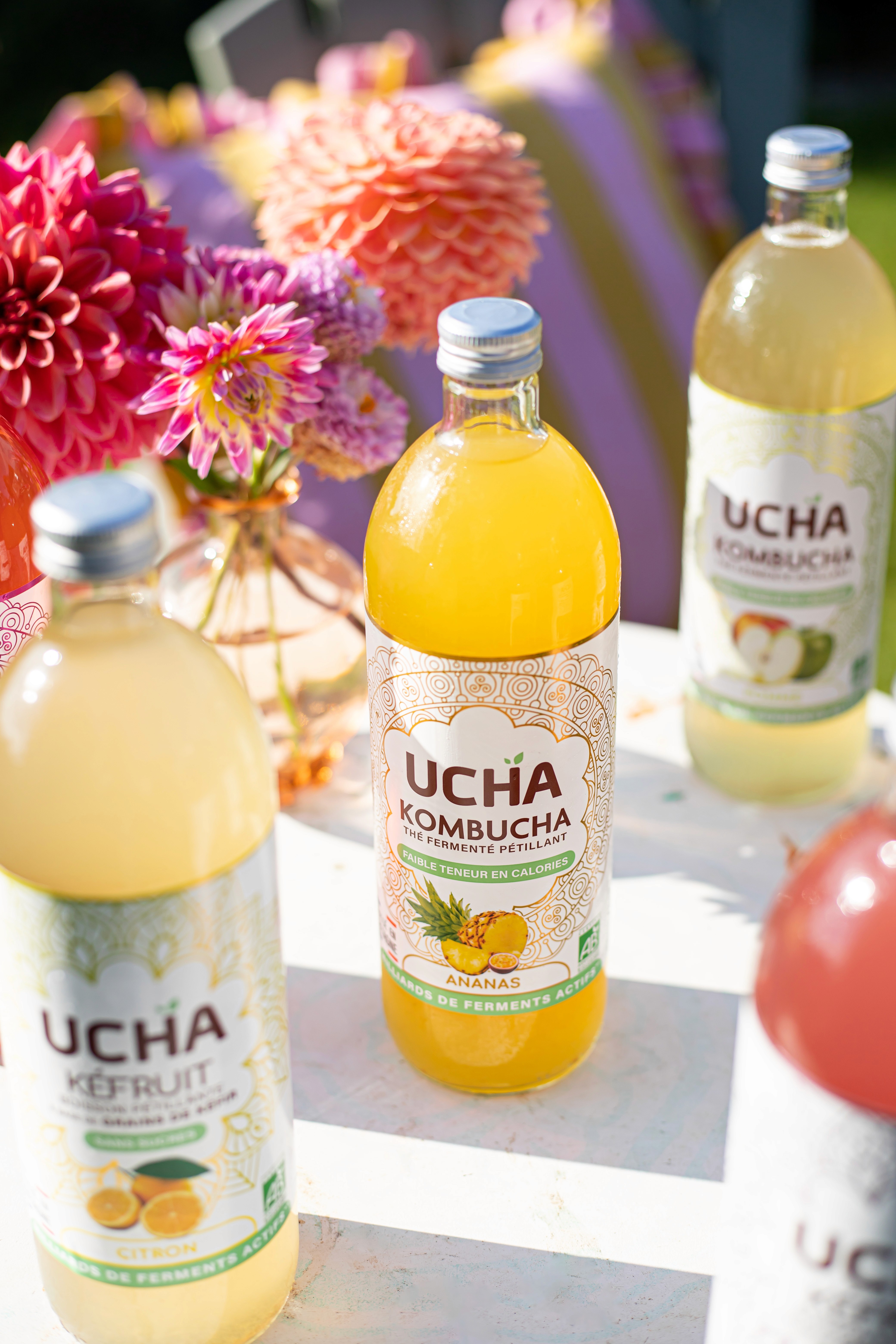 Kombucha UCHA Ananas