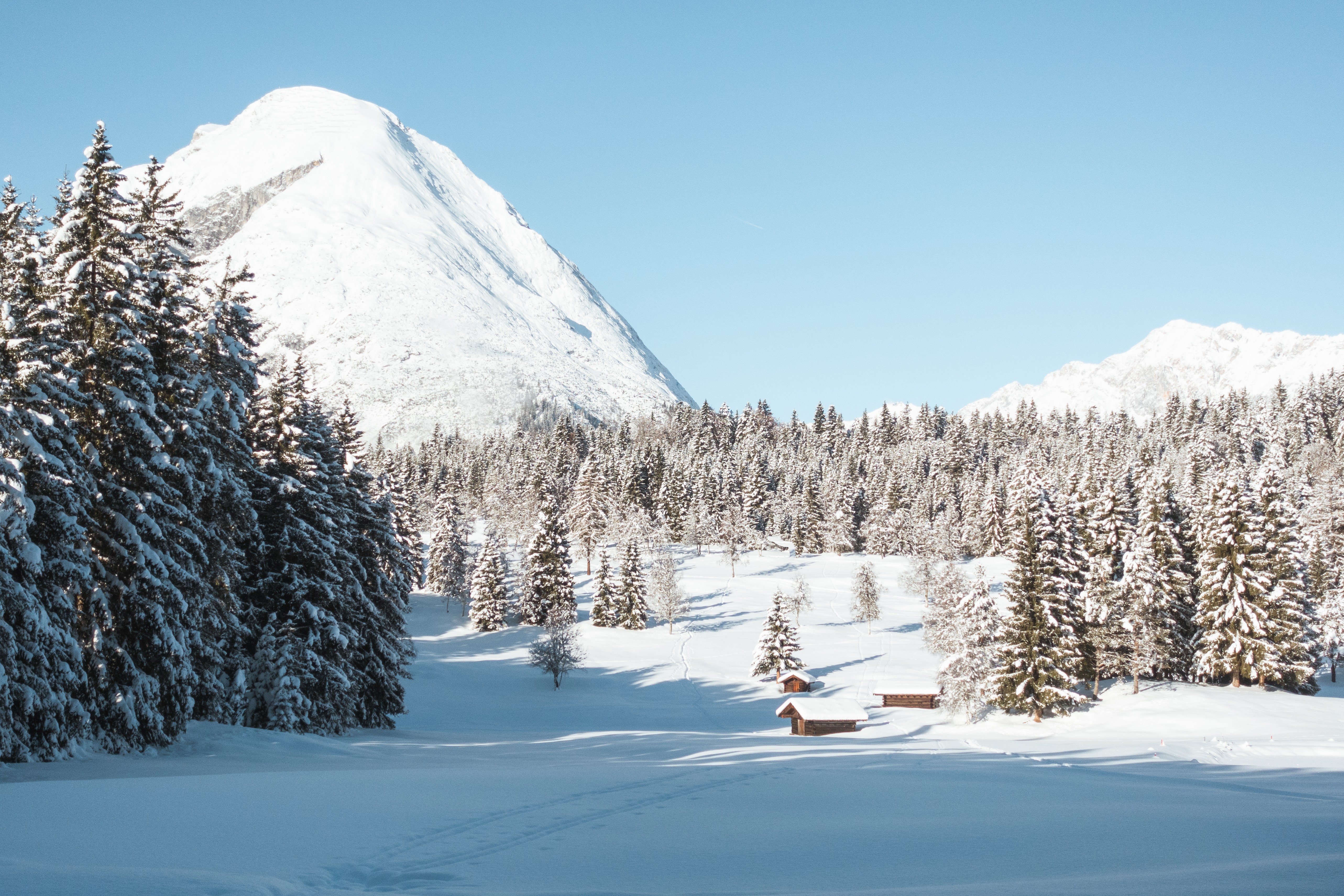 schneebedeckte Landschaft mit Wald und Berg im Hintergrund
