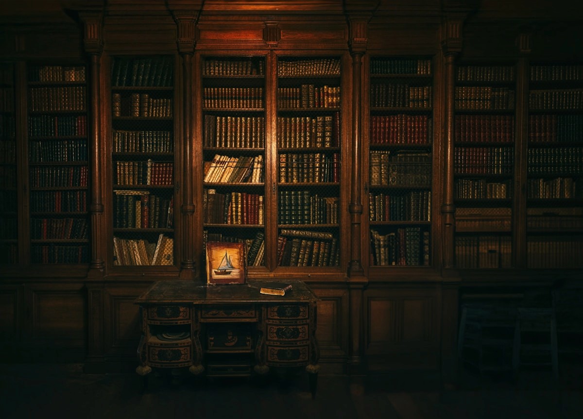 Warmly lit library bookshelves