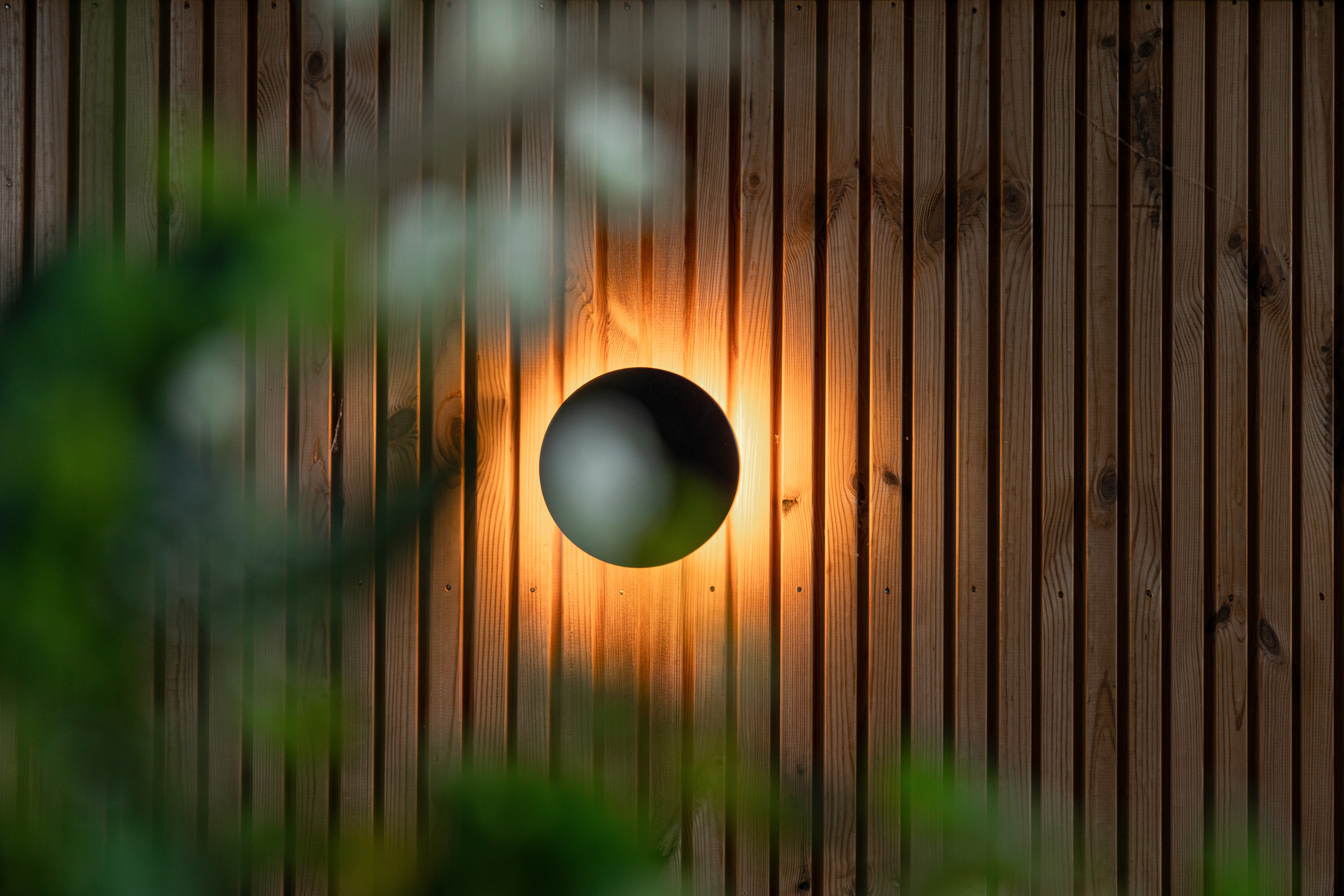 Here comes the alt text