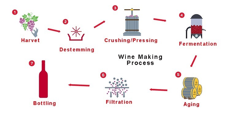 紅葡萄酒製作方法 葡萄酒發酵過程 傳統葡萄酒做法 白葡萄酒做法 葡萄酒發酵時間 釀酒過程中發酵的五個階段 白葡萄酒釀造過程 自釀葡萄酒發霉 紅酒怎麼釀的 葡萄酒漬怎麼洗 葡萄酒怎麼做的 請問白酒只能用白葡萄製作嗎 紅酒釀製步驟「自流汁」、「乾紅」是甚麼 從果汁變成酒，原來葡萄酒是這樣誕生的 葡萄酒釀造