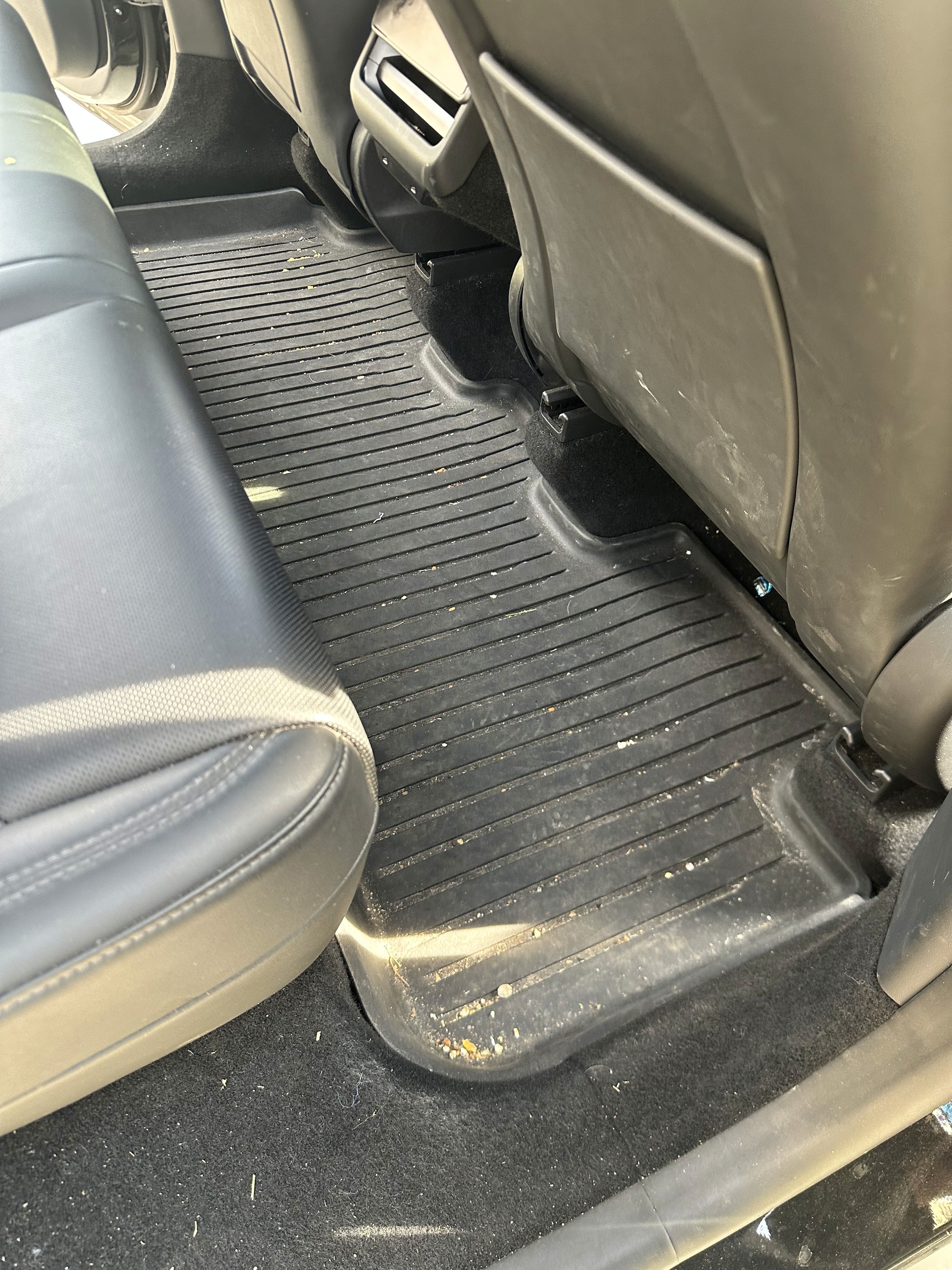 Car exterior after detailing