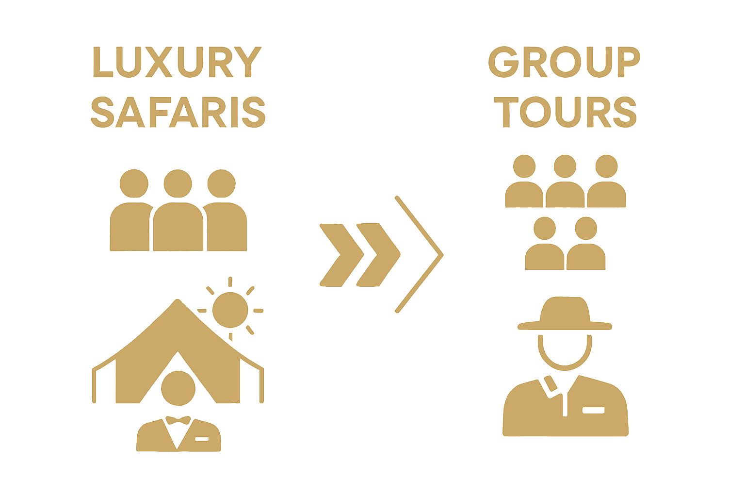 Luxury vs group safari comparison infographic