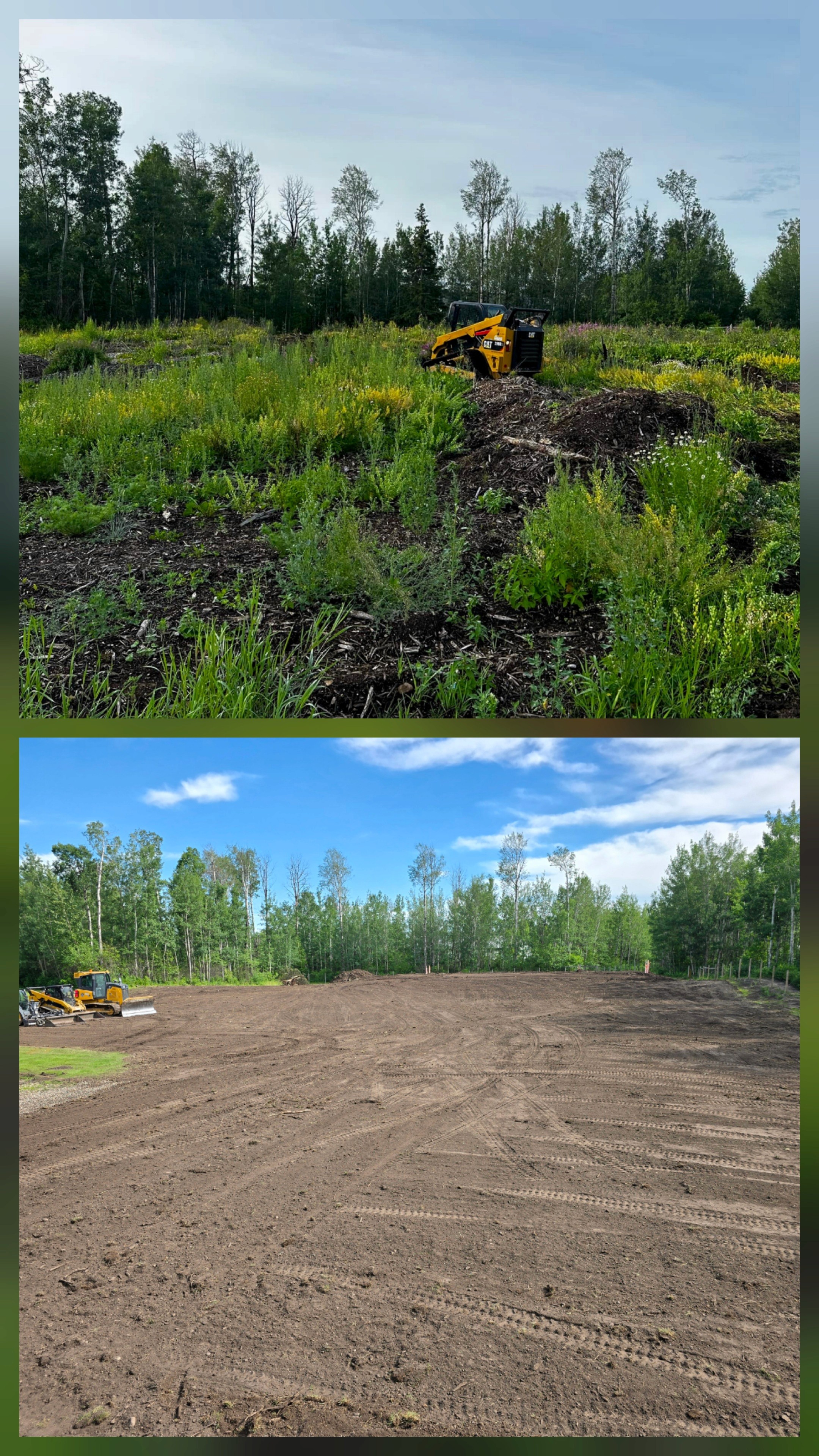 Scientist in laboratorium