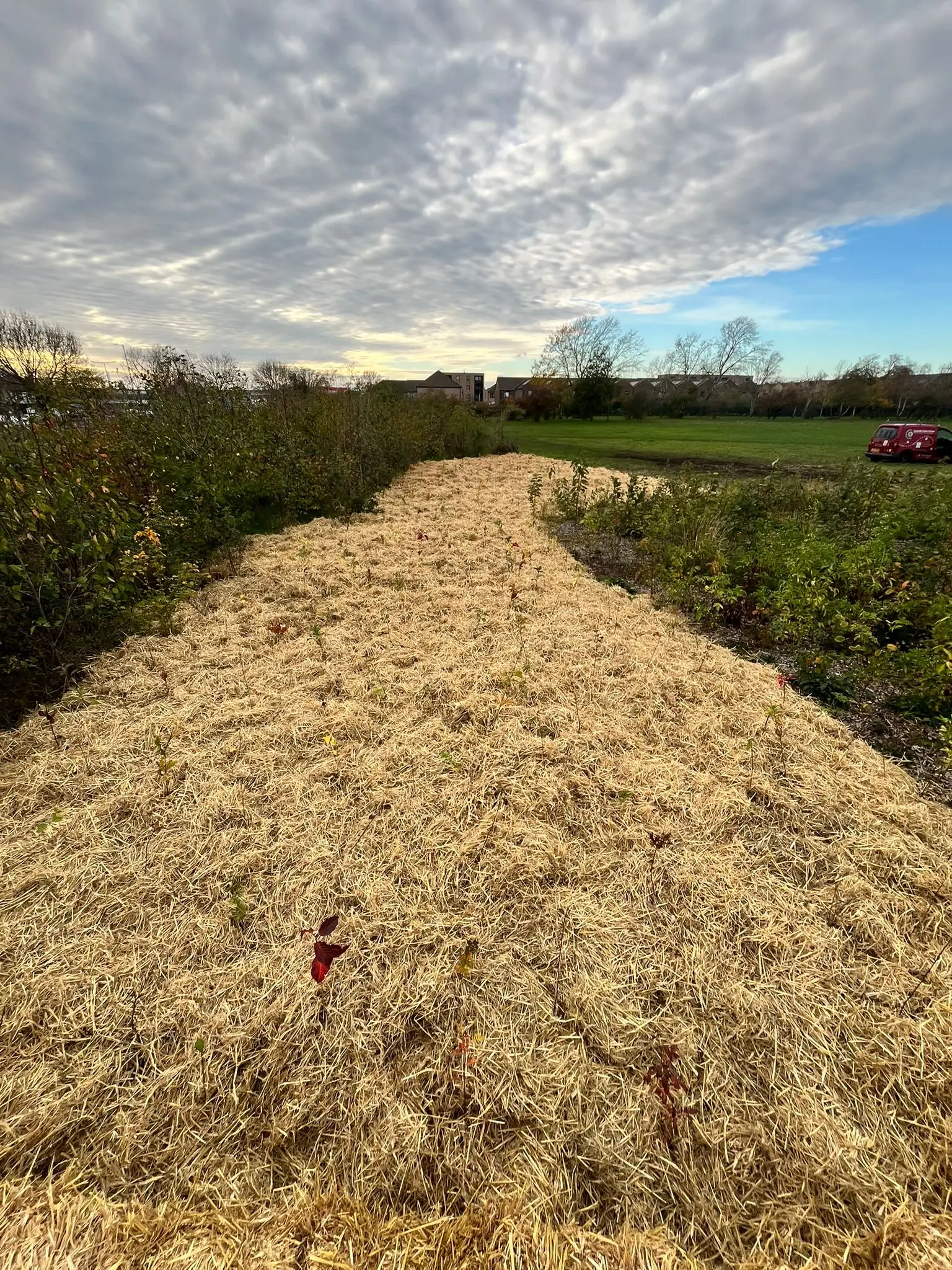 A scenic view of a path covered in straw or hay, surrounded by greenery and a cloudy sky above.