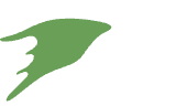 CAPE logo