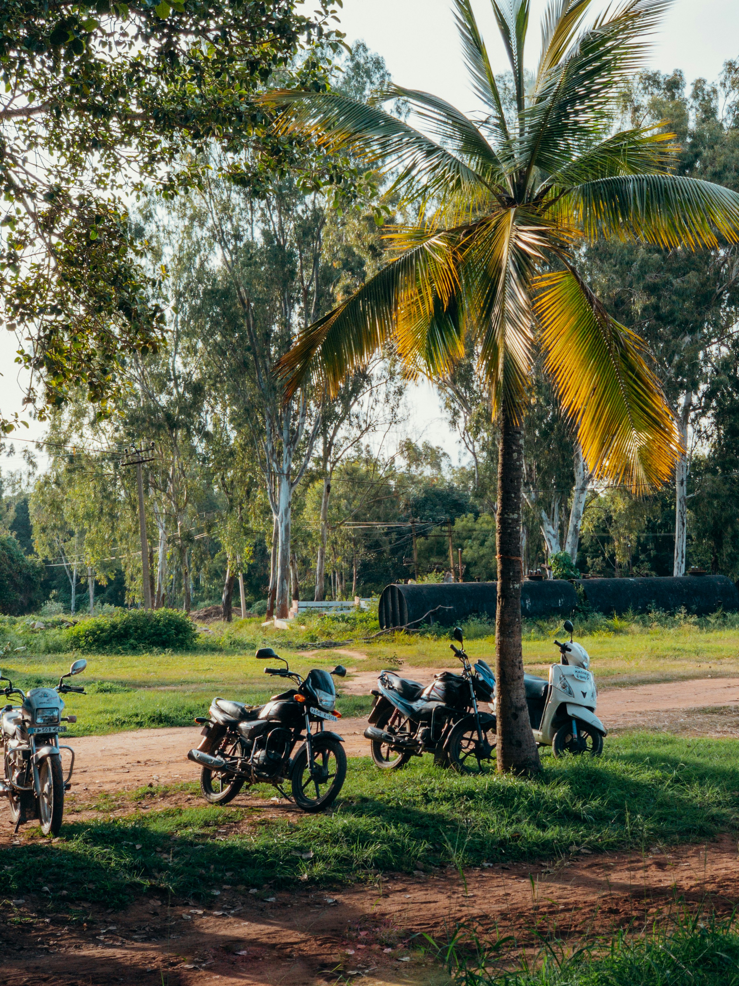 Assurance moto et scooter en guadeloupe