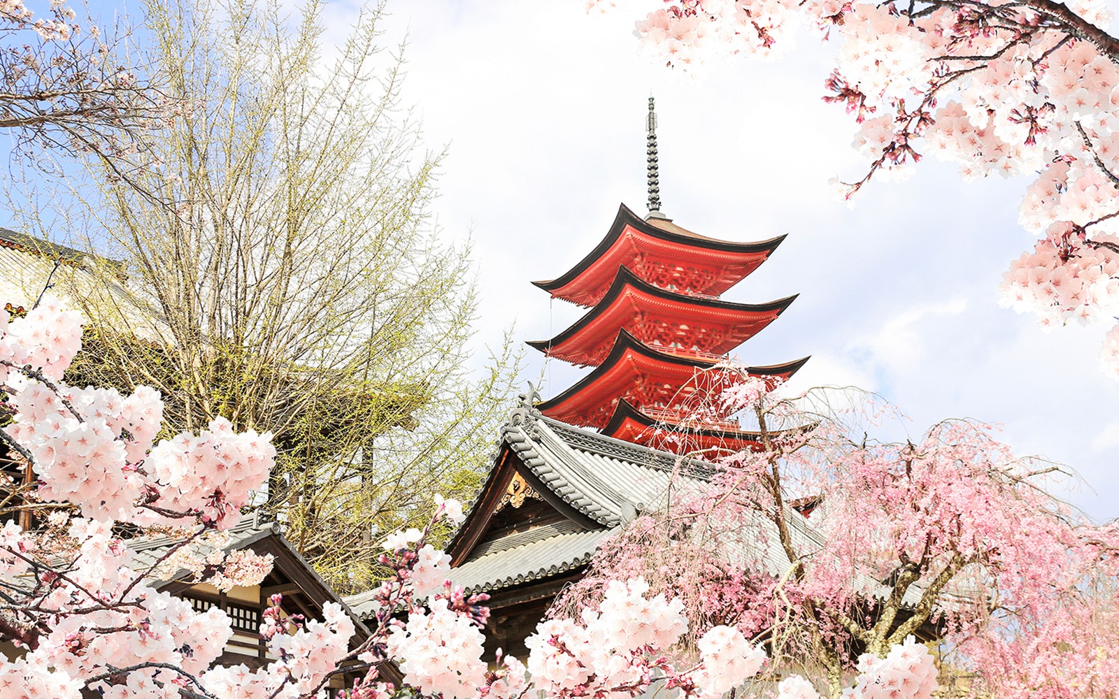 ہیروشیما سے: ہیروشیما اور میاجیما چھوٹے گروپ کا دورہ پیشہ ورانہ تصاویر کے ساتھ-8