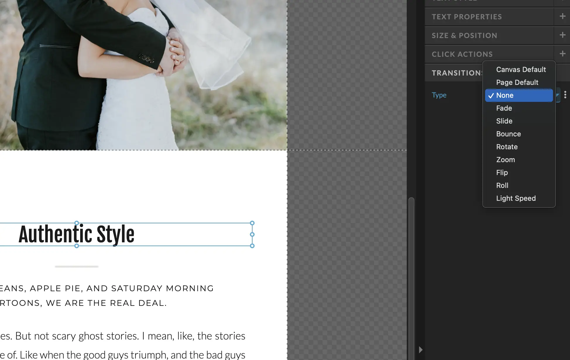 A screenshot of the animation and effect options in Showit