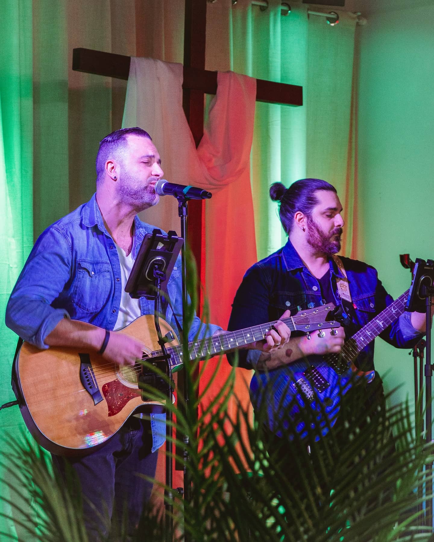 Close-up of a tree stump showing growth rings and a textured brown wood surface.