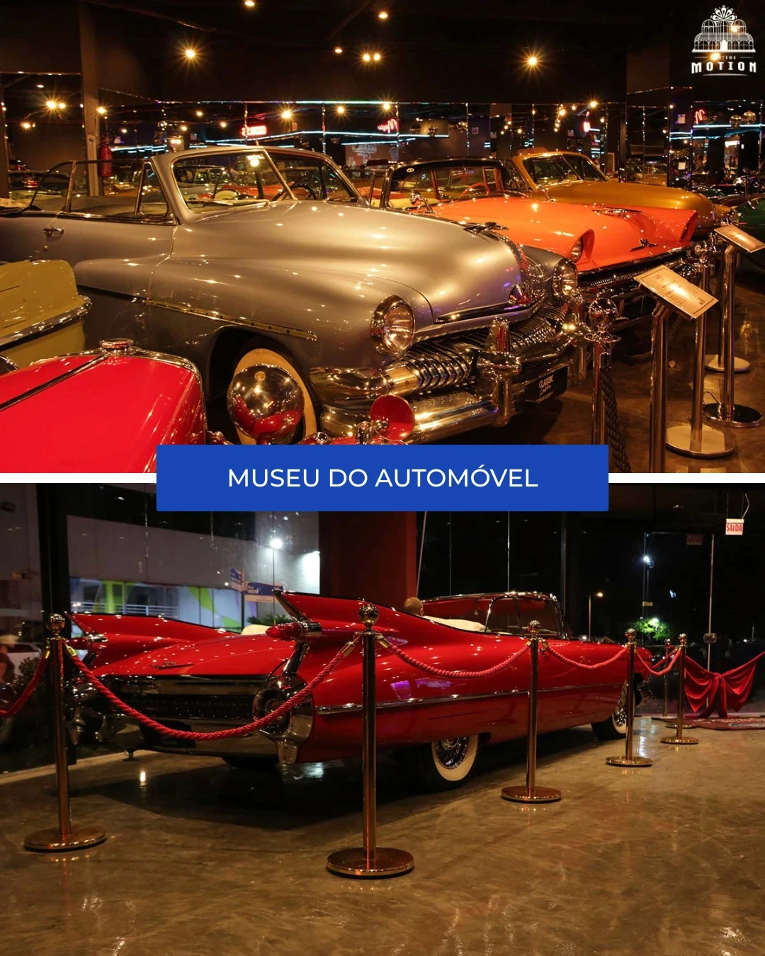 Museu do automóvel  - Motion Turismo