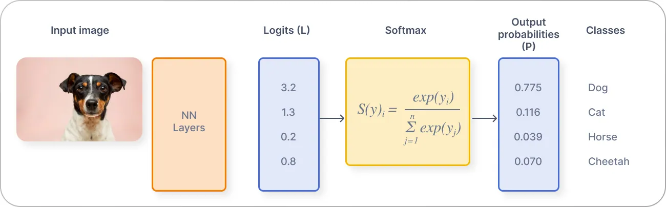 Image classification using cross-entropy loss (S is Softmax output, T—target)