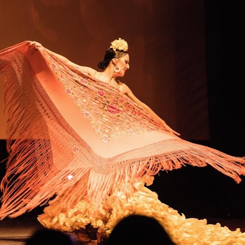 Puerto de la Cruz: Vstupenky na Flamenco Pasión Show v Puerto De La Cruz