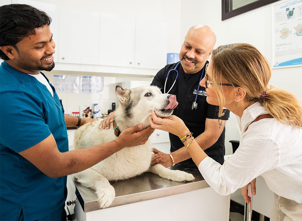 About Noble Veterinary Clinics