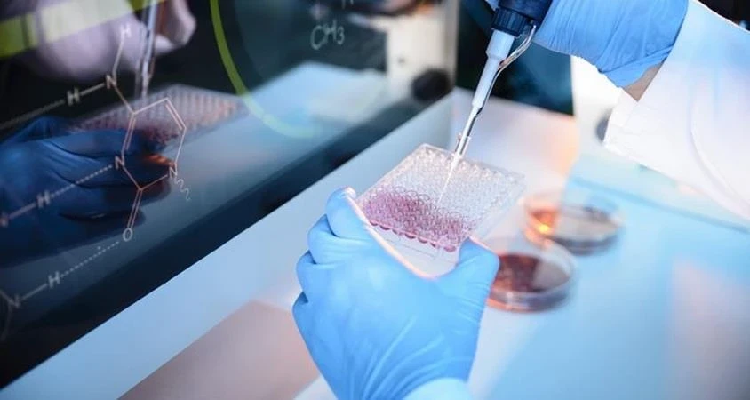 세포 기반 연구를 상징하는 실험실 유리 용기 클로즈업