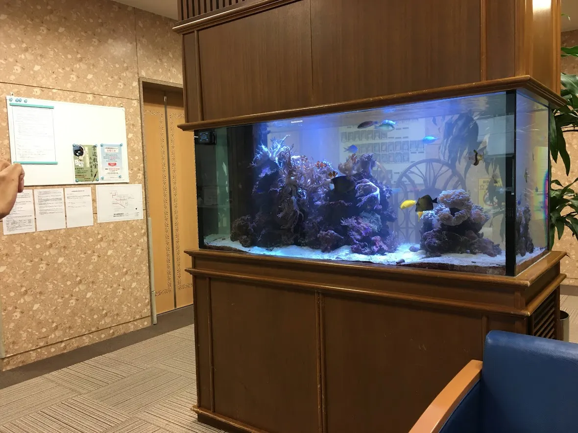 ロビーの中央に配置された水槽で、サンゴ礁と魚が来訪者の目を引いている