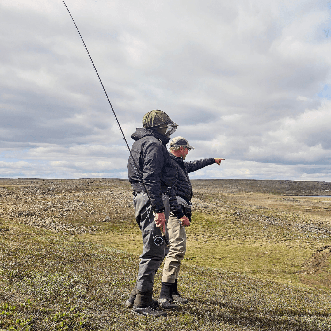 Island, Brown Trout, Arctic char, fjeldørred