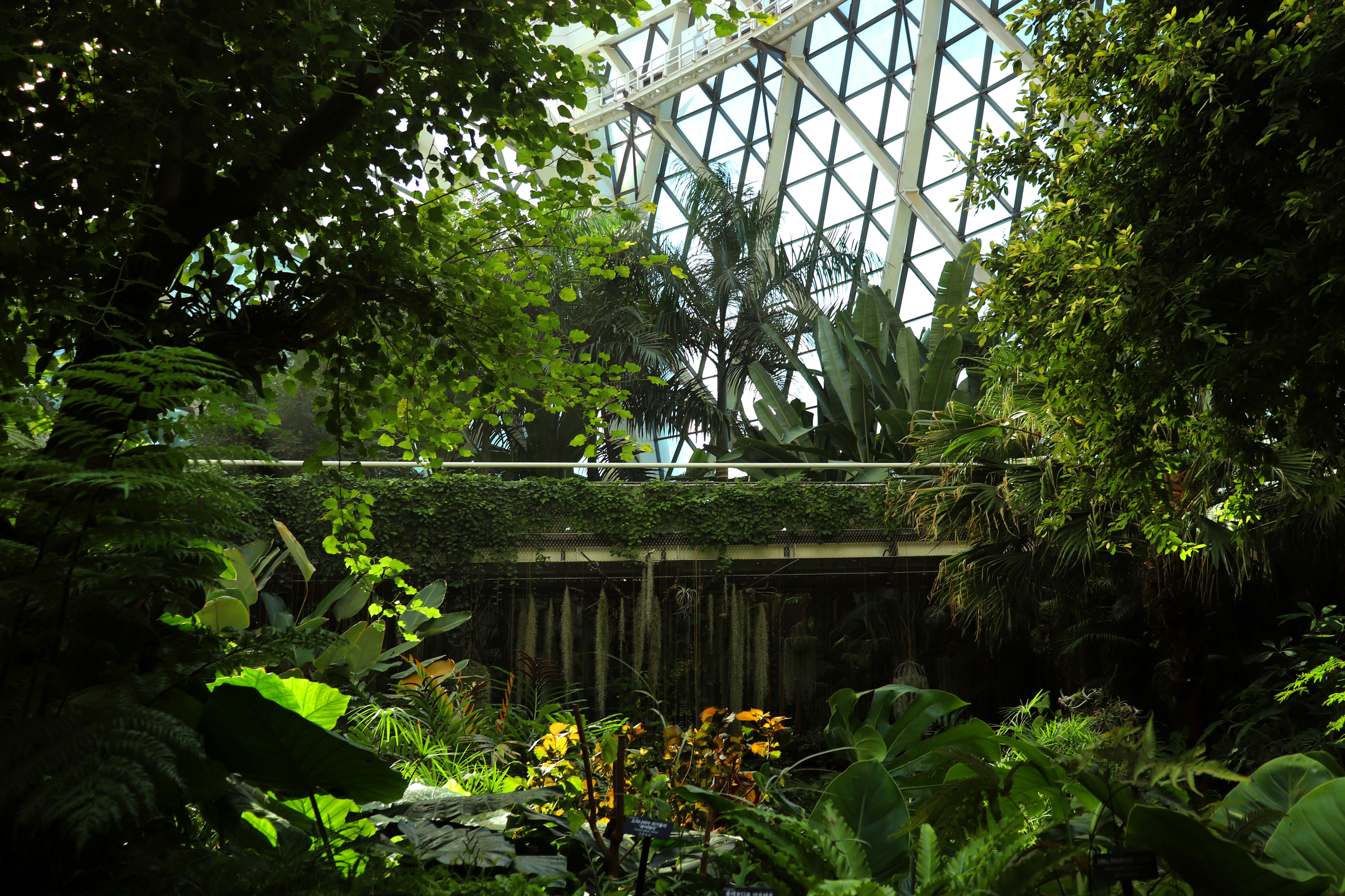 aerial photography of cityscape at night