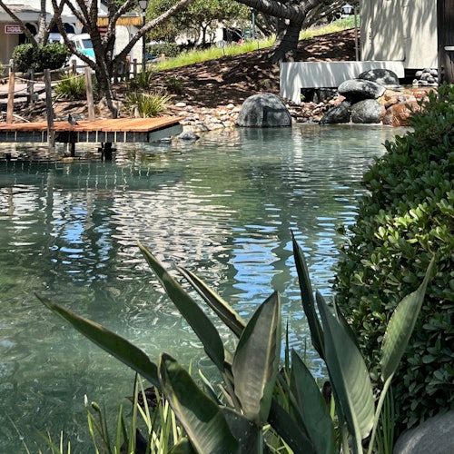Seaport Village duck pond