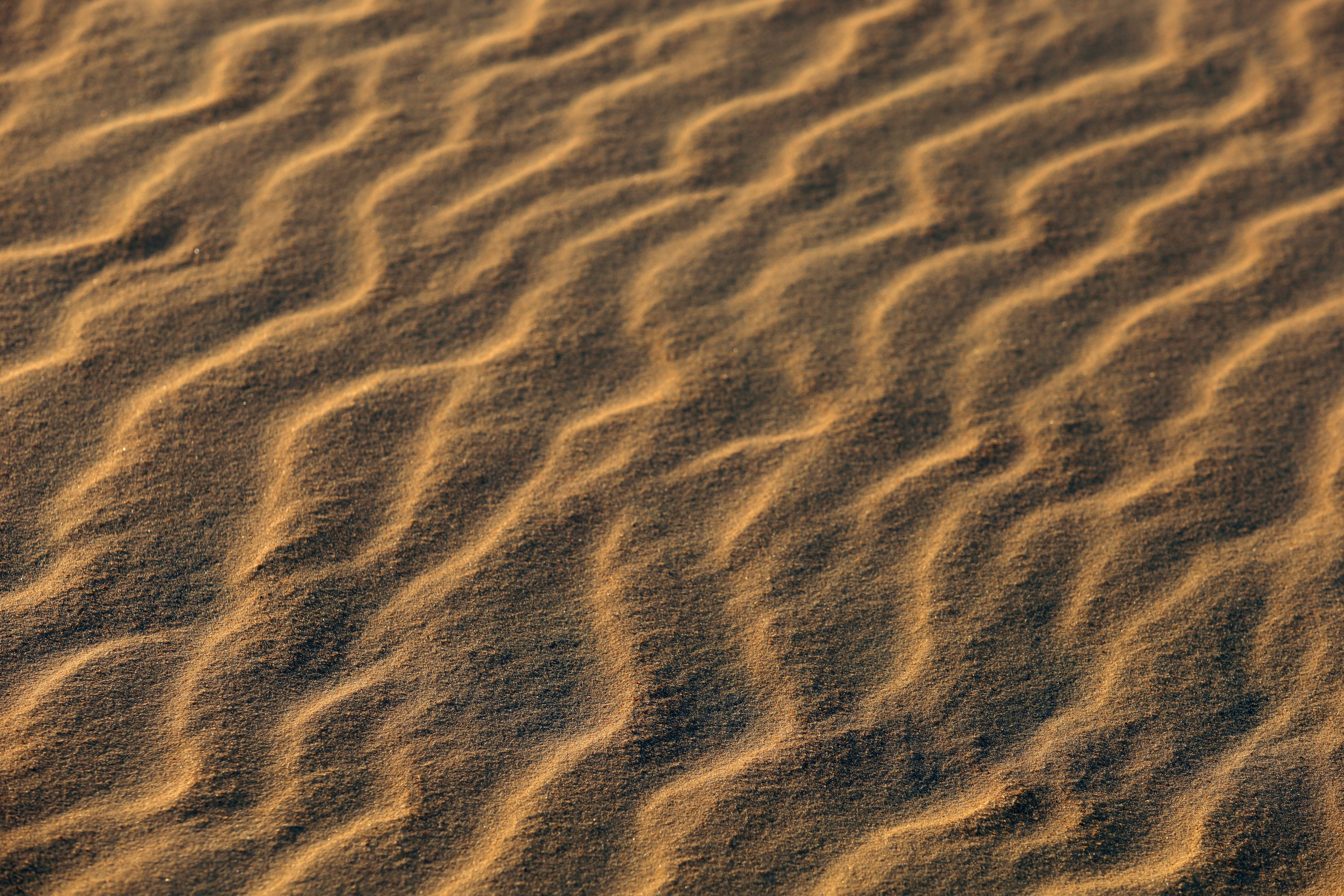 Ripples of sand dunes in the desert.