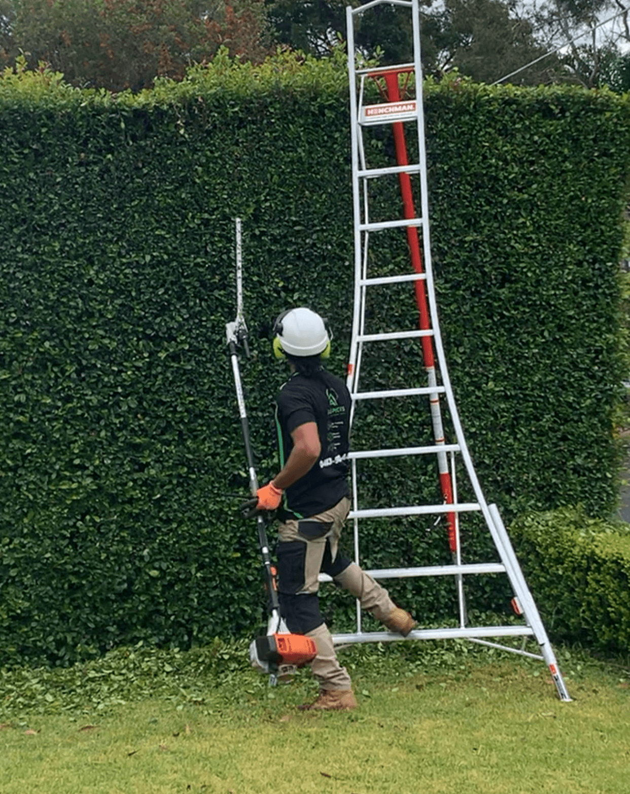 All Apsects Landscapes trimming large hedges