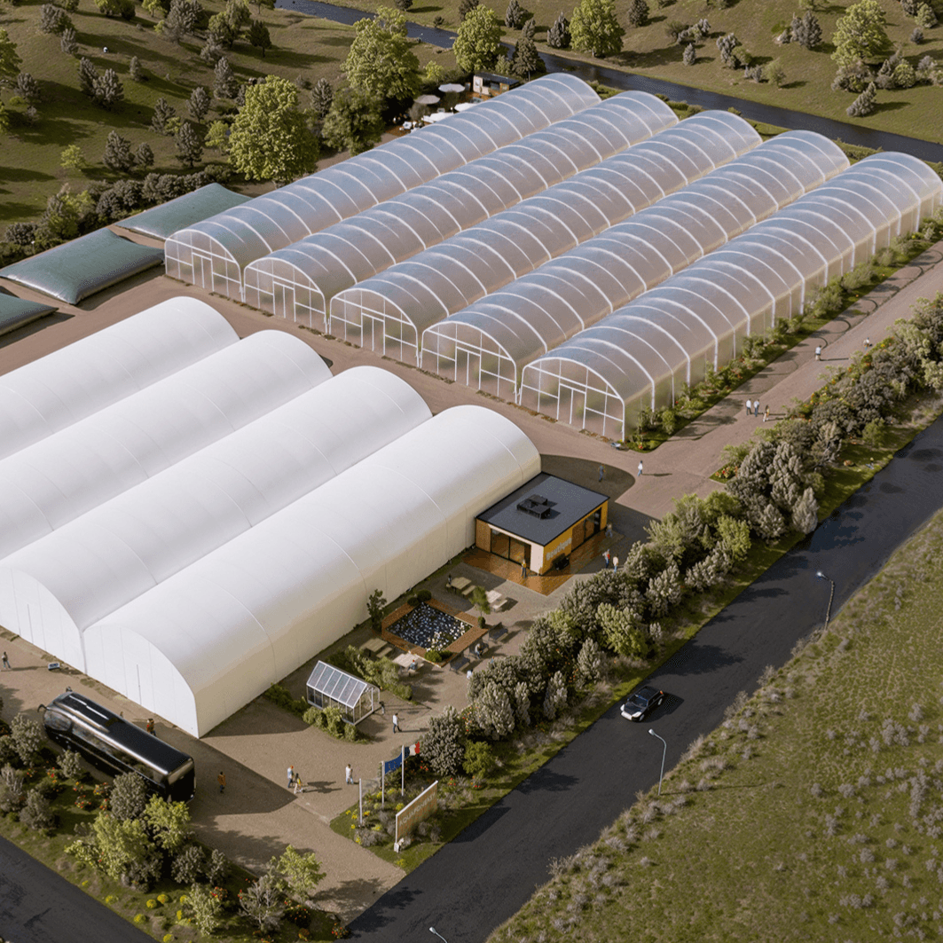 Jeune femme souriante récoltant des légumes dans une serre, illustrant un concept d’agriculture durable.