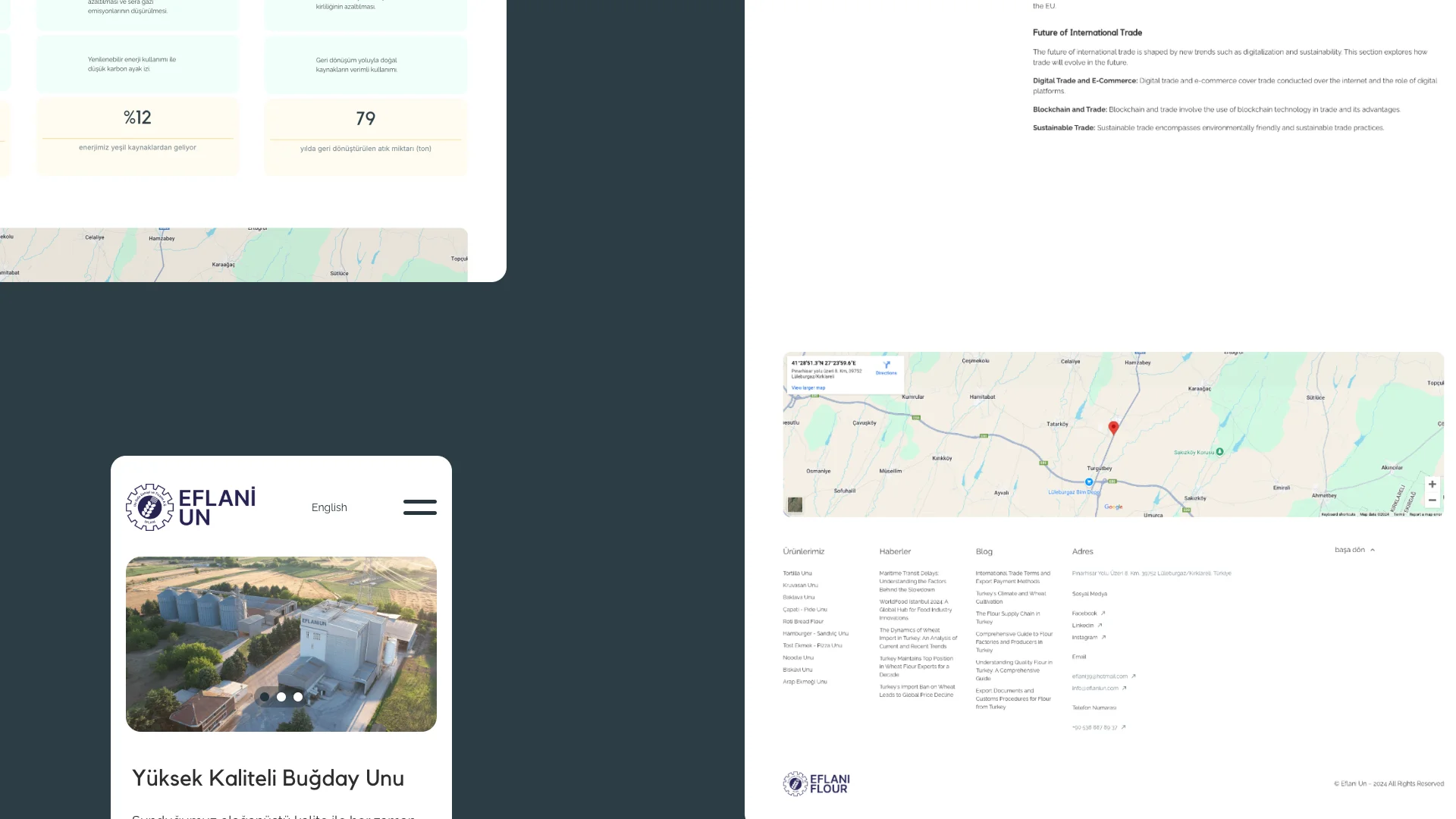 Website showcase mixed 5