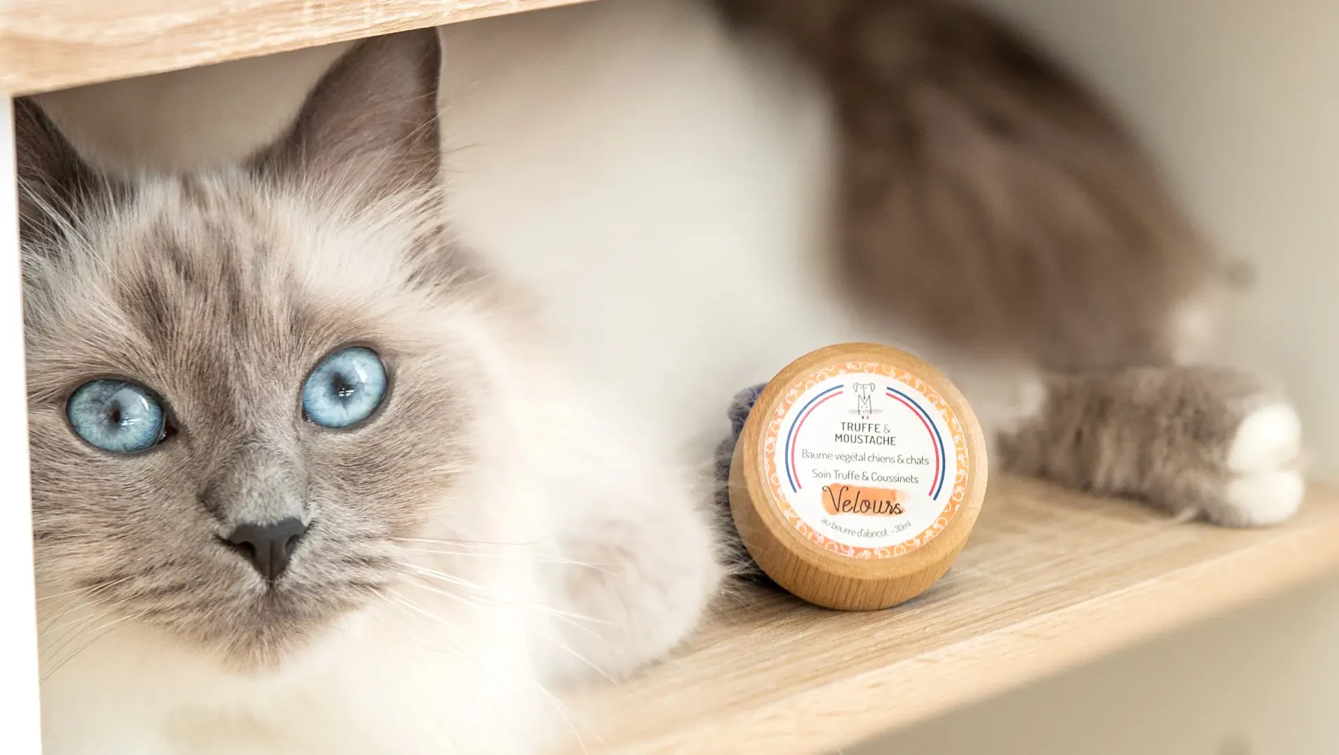 Création de packagings, contenus réseaux sociaux et supports web pour Truffe & Moustache, marque de soins naturels pour chiens et chats