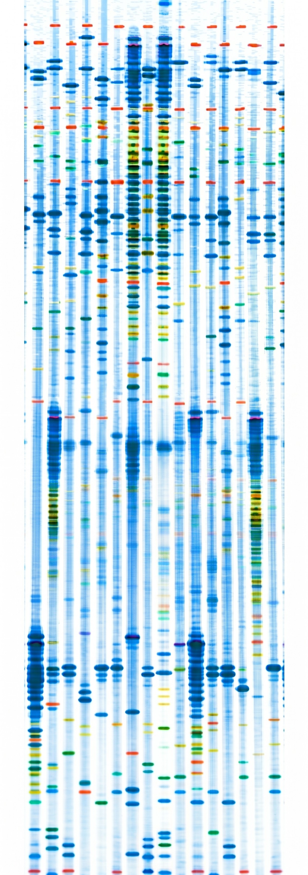 DNA