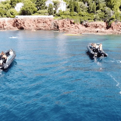 Et vakkert utvalg av blåtoner