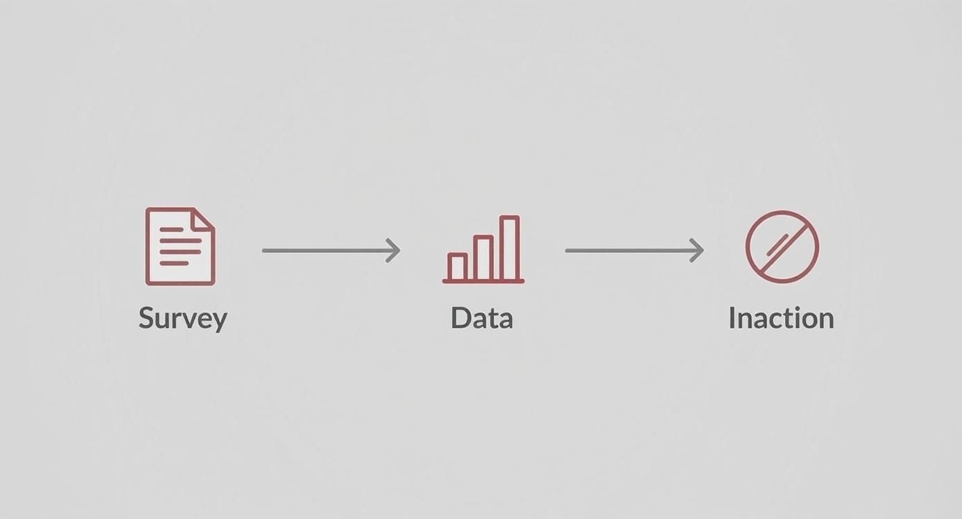 Infographic showing the employee engagement trap of surveying, collecting data, and then taking no action.