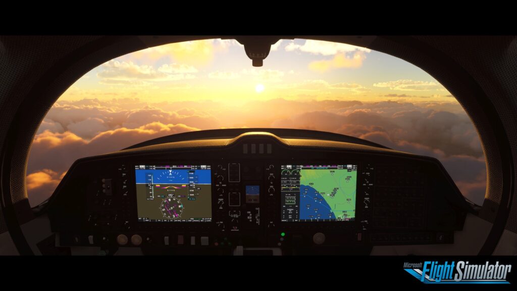 Microsoft Flight Simulator — analogy for Mirno's physiological simulation approach