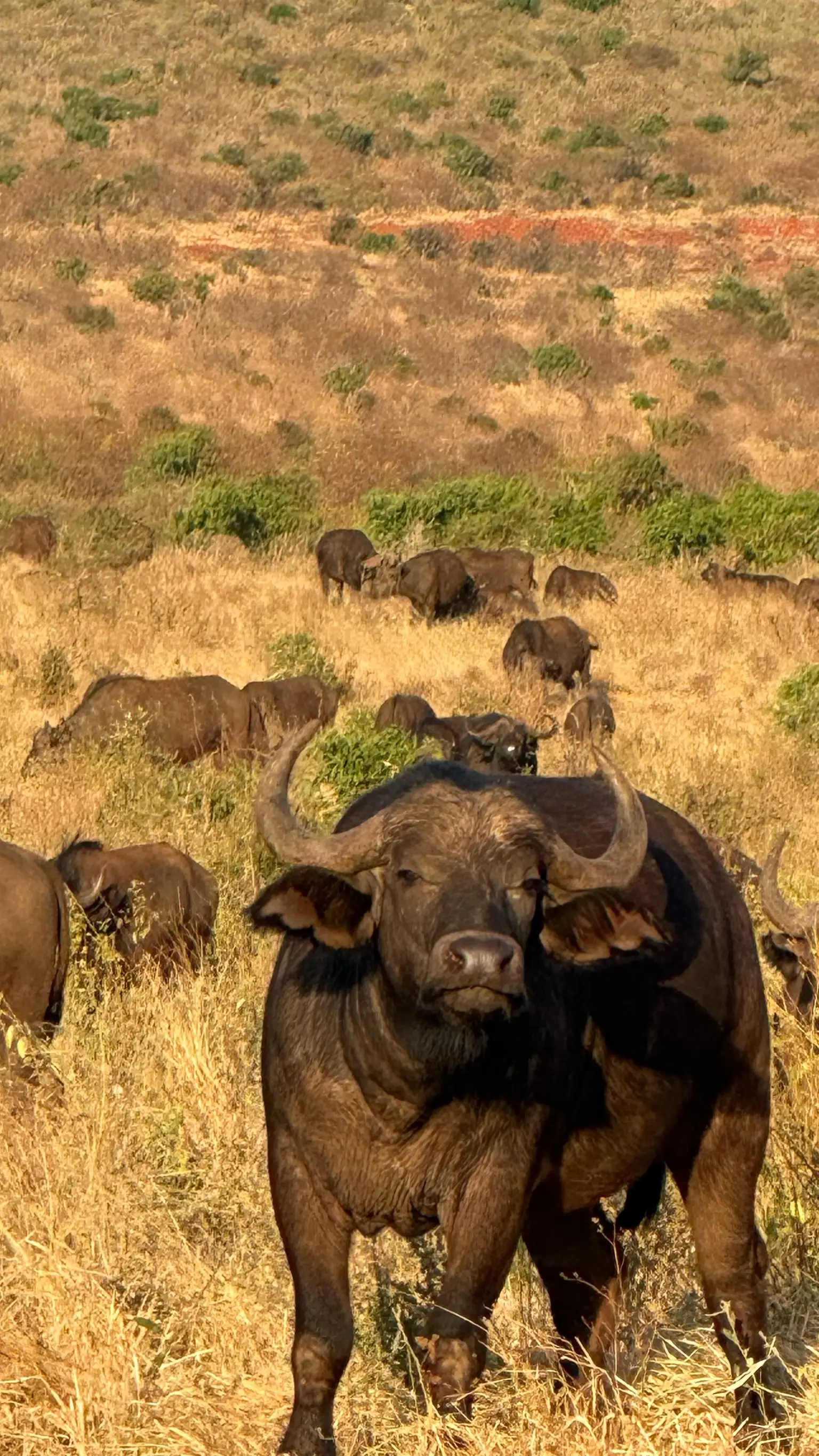 Usahili Tour in Kenya