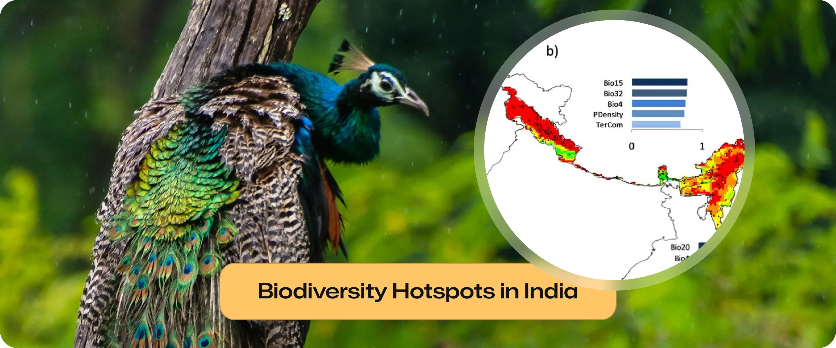 Biodiversity hotspots in India