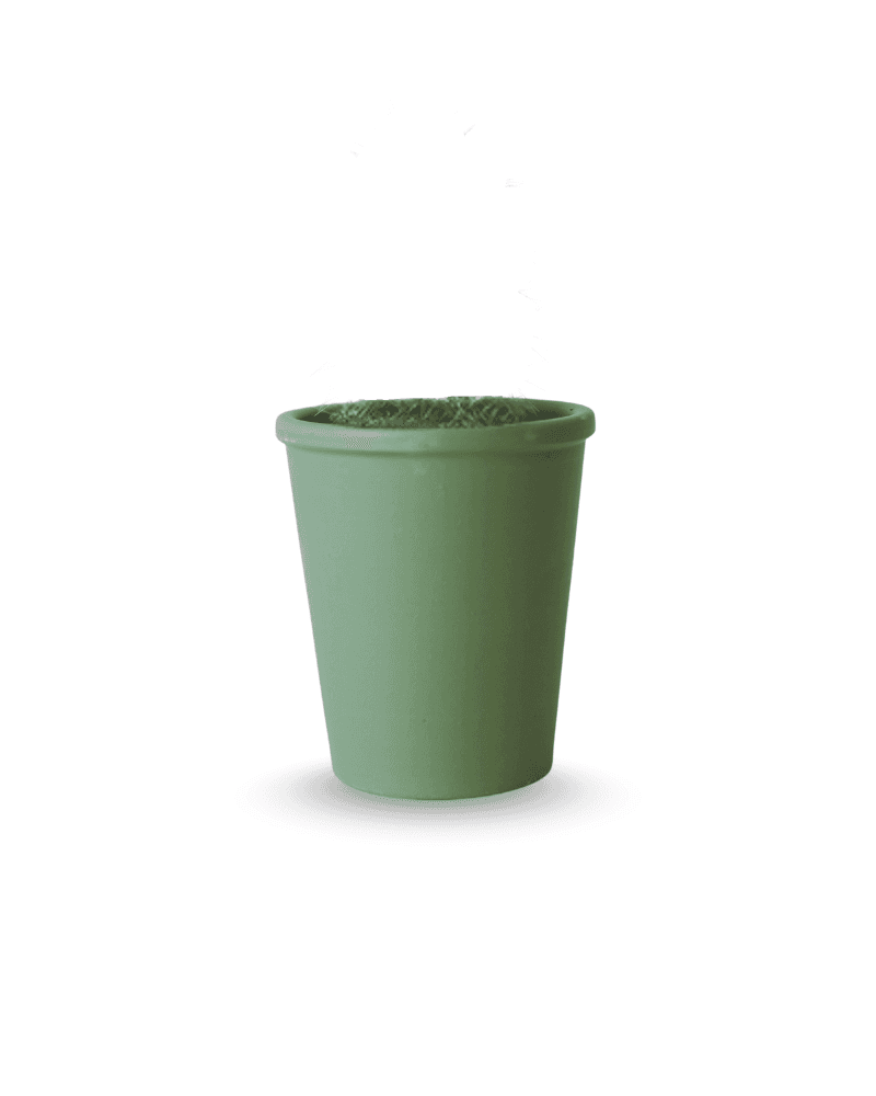 Green Small Plastic Pot