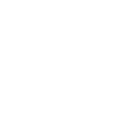Logo Bossons
