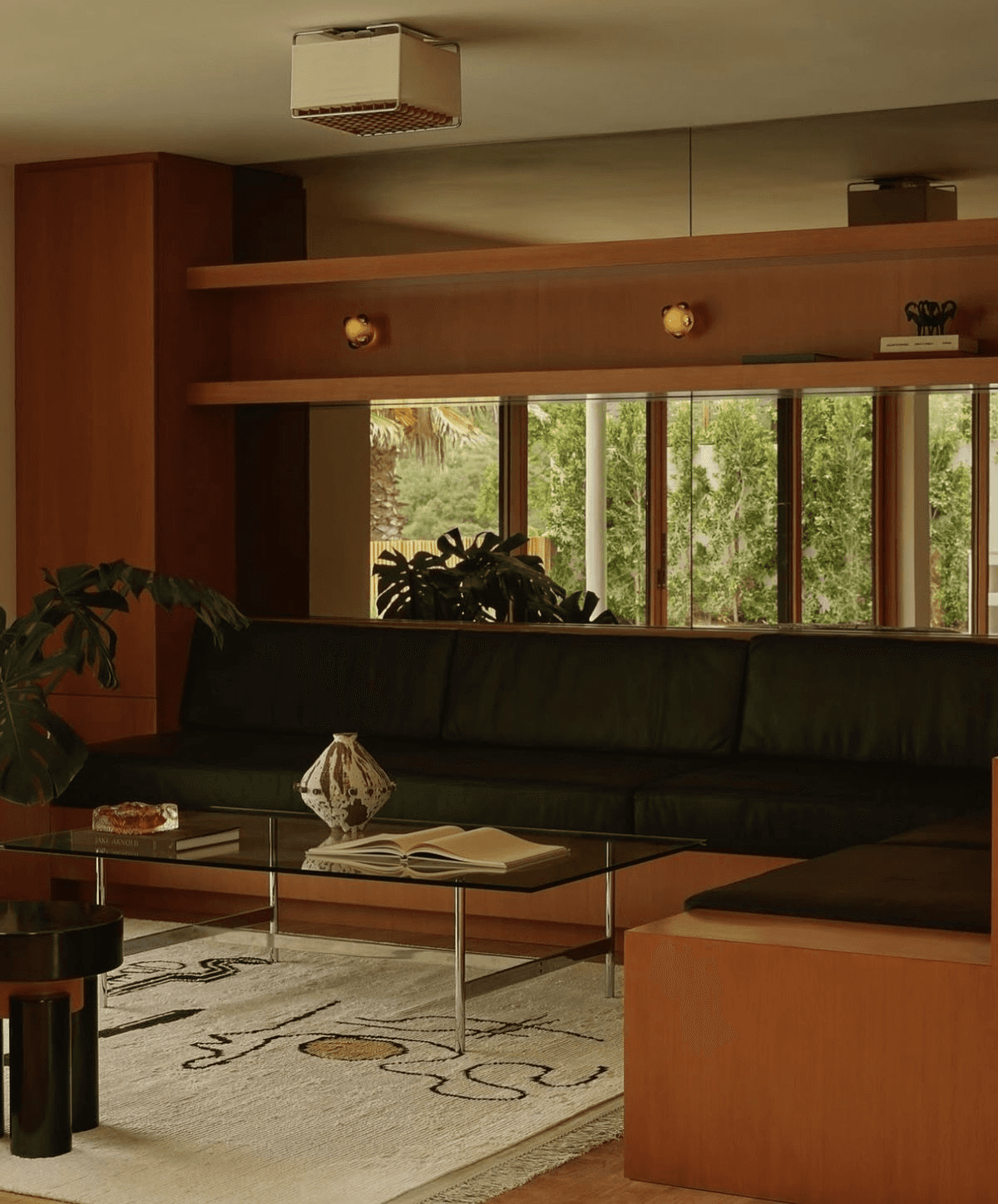 macro photography of blue flowers